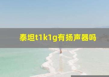 泰坦t1k1g有扬声器吗