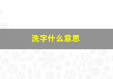 洗字什么意思