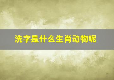 洗字是什么生肖动物呢