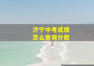 济宁中考成绩怎么查询分数