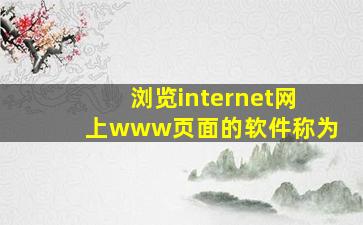 浏览internet网上www页面的软件称为