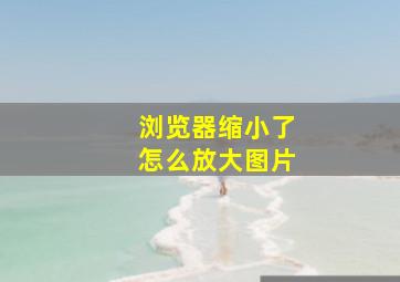 浏览器缩小了怎么放大图片