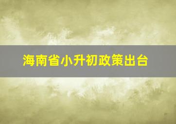 海南省小升初政策出台