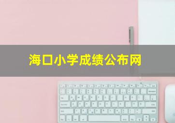 海口小学成绩公布网