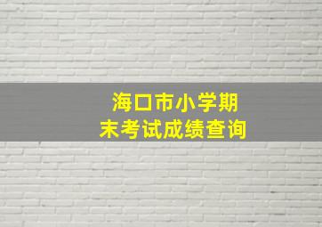 海口市小学期末考试成绩查询