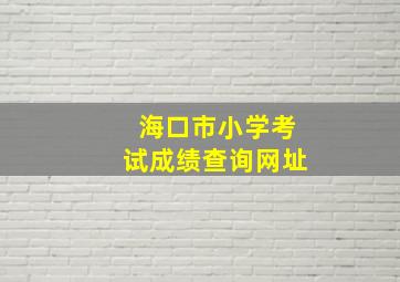 海口市小学考试成绩查询网址