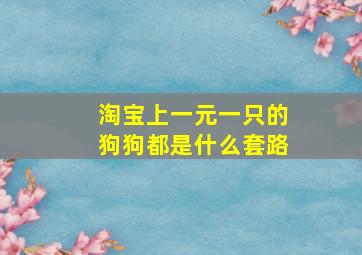 淘宝上一元一只的狗狗都是什么套路