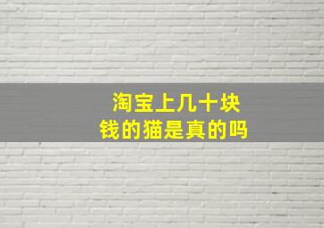 淘宝上几十块钱的猫是真的吗