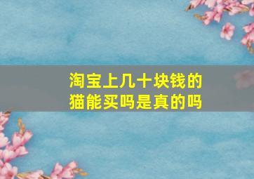 淘宝上几十块钱的猫能买吗是真的吗