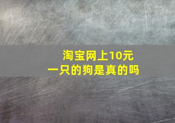 淘宝网上10元一只的狗是真的吗