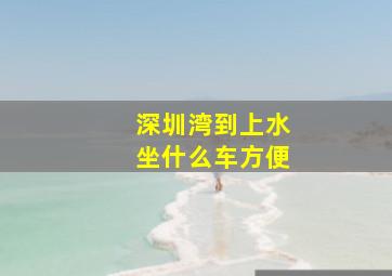 深圳湾到上水坐什么车方便