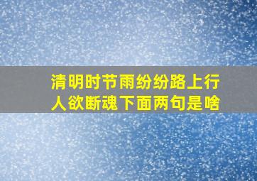 清明时节雨纷纷路上行人欲断魂下面两句是啥