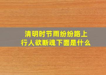 清明时节雨纷纷路上行人欲断魂下面是什么