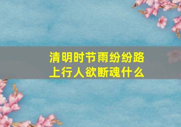 清明时节雨纷纷路上行人欲断魂什么