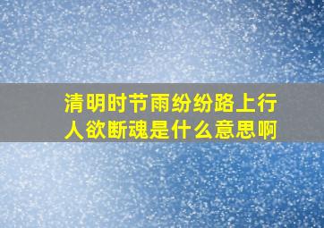 清明时节雨纷纷路上行人欲断魂是什么意思啊