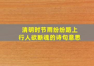 清明时节雨纷纷路上行人欲断魂的诗句意思