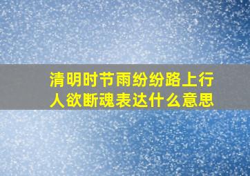 清明时节雨纷纷路上行人欲断魂表达什么意思