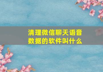 清理微信聊天语音数据的软件叫什么