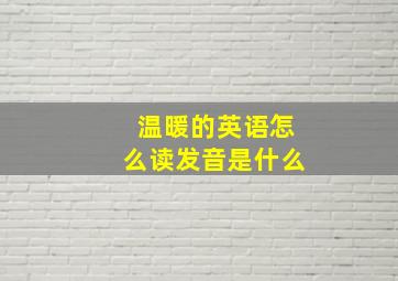 温暖的英语怎么读发音是什么