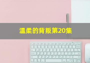 温柔的背叛第20集