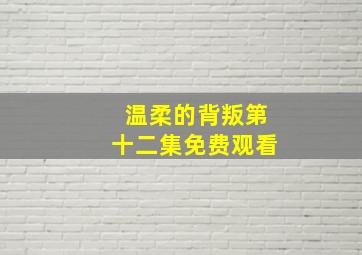 温柔的背叛第十二集免费观看