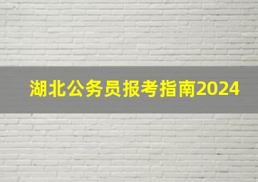 湖北公务员报考指南2024