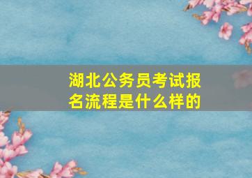 湖北公务员考试报名流程是什么样的