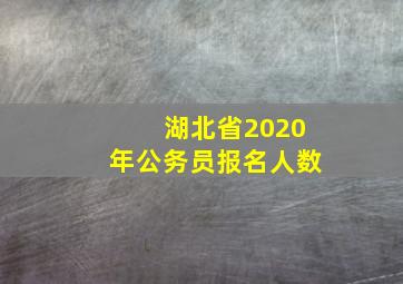 湖北省2020年公务员报名人数