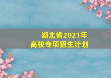 湖北省2021年高校专项招生计划