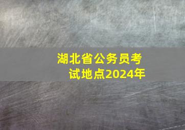 湖北省公务员考试地点2024年