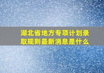 湖北省地方专项计划录取规则最新消息是什么