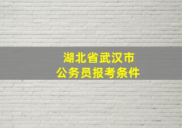 湖北省武汉市公务员报考条件