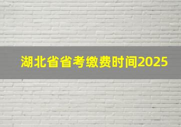 湖北省省考缴费时间2025