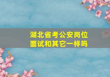 湖北省考公安岗位面试和其它一样吗