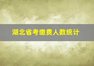 湖北省考缴费人数统计