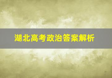 湖北高考政治答案解析