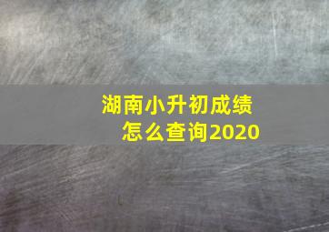 湖南小升初成绩怎么查询2020