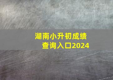 湖南小升初成绩查询入口2024