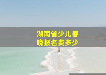 湖南省少儿春晚报名费多少