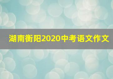 湖南衡阳2020中考语文作文