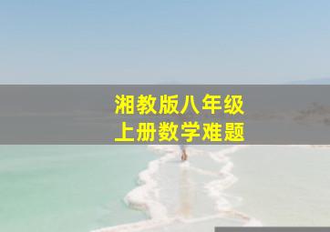 湘教版八年级上册数学难题