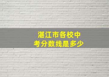 湛江市各校中考分数线是多少