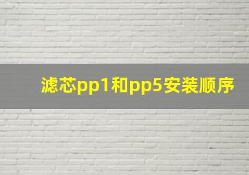 滤芯pp1和pp5安装顺序