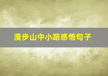 漫步山中小路感悟句子