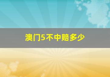 澳门5不中赔多少