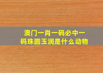 澳门一肖一码必中一码珠圆玉润是什么动物