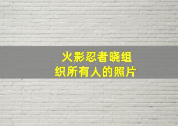 火影忍者晓组织所有人的照片