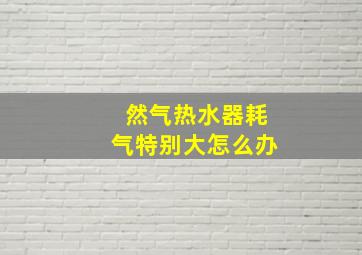 然气热水器耗气特别大怎么办