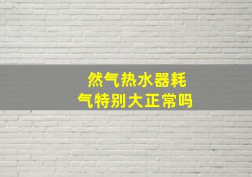 然气热水器耗气特别大正常吗