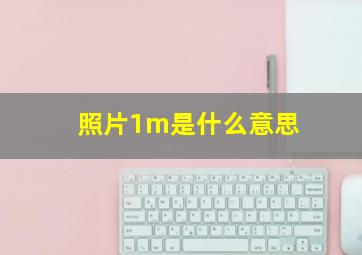 照片1m是什么意思